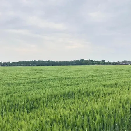 Bee Home - Urlaubs Und Business Loft Kevelaer Buitenkant foto