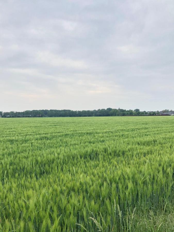 Apartment Bee - Urlaubs Und Business Loft
